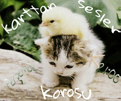 karttan sesler korosu