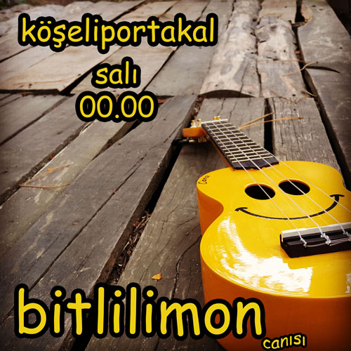 bitlilimon