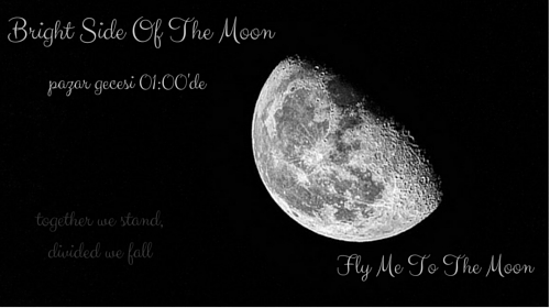 bright side of the moon